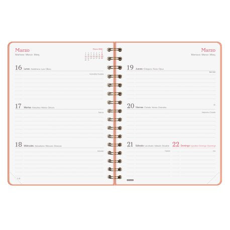 EAN 8422952405313 - Finocam 762020526 agenda Agenda diaria Coral imagen 5