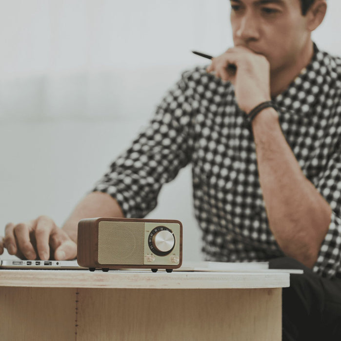 EAN 4711317995076 - Sangean WR-7 Portátil Cereza (fruta) imagen 6