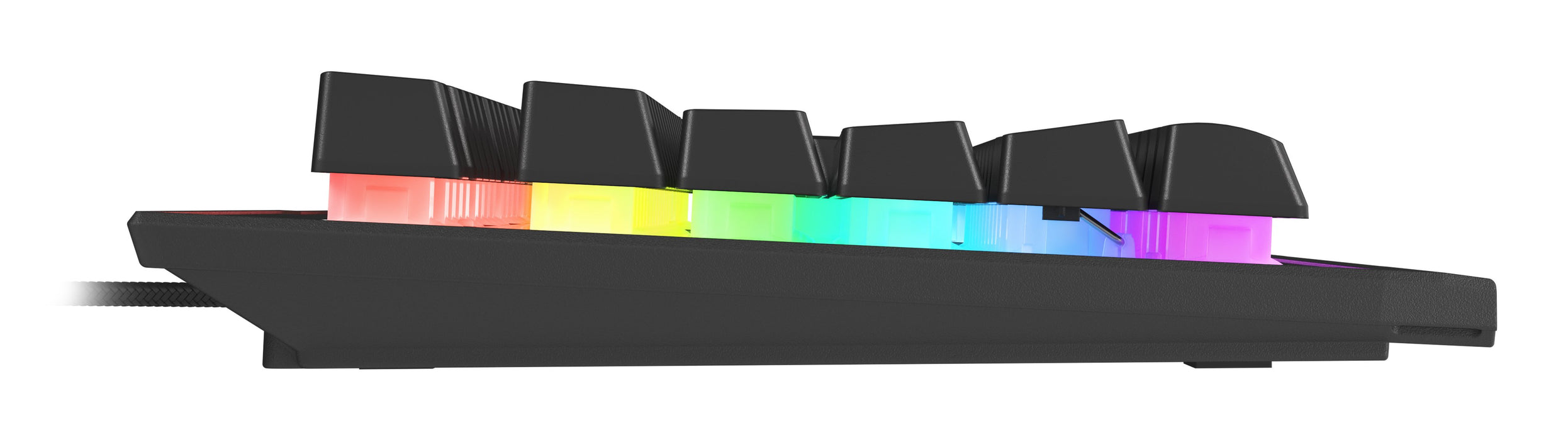 EAN 5901969425932 - GENESIS Rhod 500 RGB teclado Juego USB QWERTY Portugués Negro, Plata imagen 4