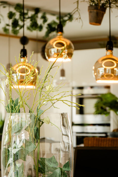 EAN 4260751130586 - Segula 55058 lámpara LED Blanco cálido 1900 K 6 W E27 imagen 2