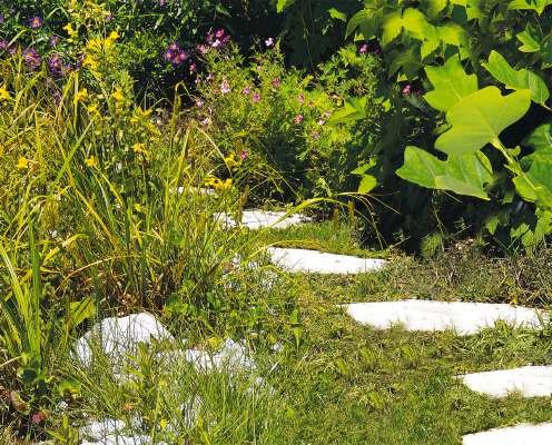 EAN 4006825626223 - Einhell GE-CG 12 Li WT tijera de césped inalámbrica 10 cm 12 V Ión de litio Negro, Rojo imagen 11