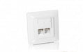 EAN 4015867141649 - Equip 125723 toma de corriente RJ-45 Blanco imagen 1