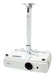 EAN 5907731310611 - Avtek International 1MVEM2 montaje para projector Techo Blanco imagen 2