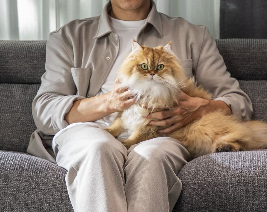 EAN 3221616130012 - Rowenta X-Clean 4 GZ5035WO aspiradora de pie y escoba eléctrica Aspiradora escoba Batería Seca y húmeda E imagen 17