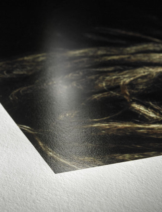 EAN 4011367005672 - Hahnemühle 10640308 papel fotográfico imagen 6