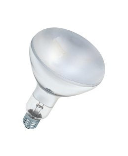 EAN 4008321543929 - Osram Ultra-vitalux lámpara ultravioleta (UVA) 300 W E27 imagen 1