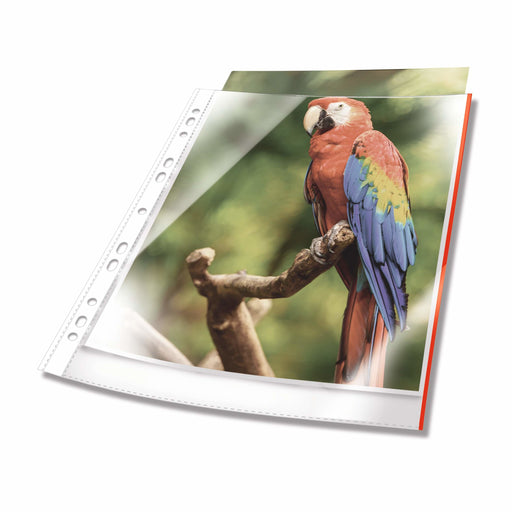 EAN 4005546735290 - Durable 265503 protector de hojas A4 Polipropileno (PP) 25 pieza(s) imagen 1