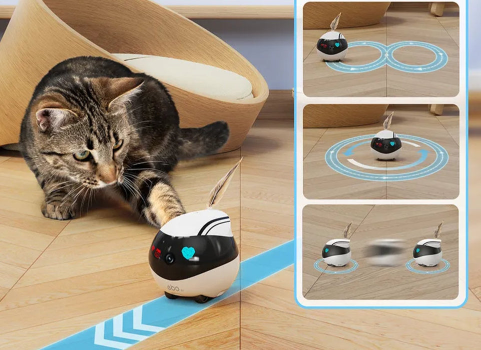 EAN 6972822120317 - Enabot EBO Air imagen 7