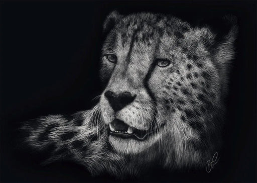 EAN 4001504585426 - Schmidt Spiele 58542 puzzle Puzzle rompecabezas 1000 pieza(s) Otro imagen 2