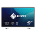 EAN 4995047067450 - EIZO FlexScan EV4340X-BK LED display 108 cm (42.5") 3840 x 2160 Pixeles 4K Ultra HD Negro imagen 1