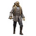 EAN 5010996300935 - Star Wars The Black Series Kit Fisto imagen 2