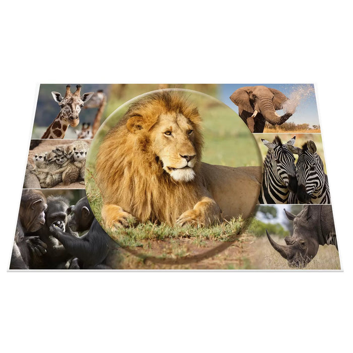 EAN 4008705936347 - HERMA Schreibunterlage Afrika Tiere protector de escritorio Cartón Multicolor imagen 4