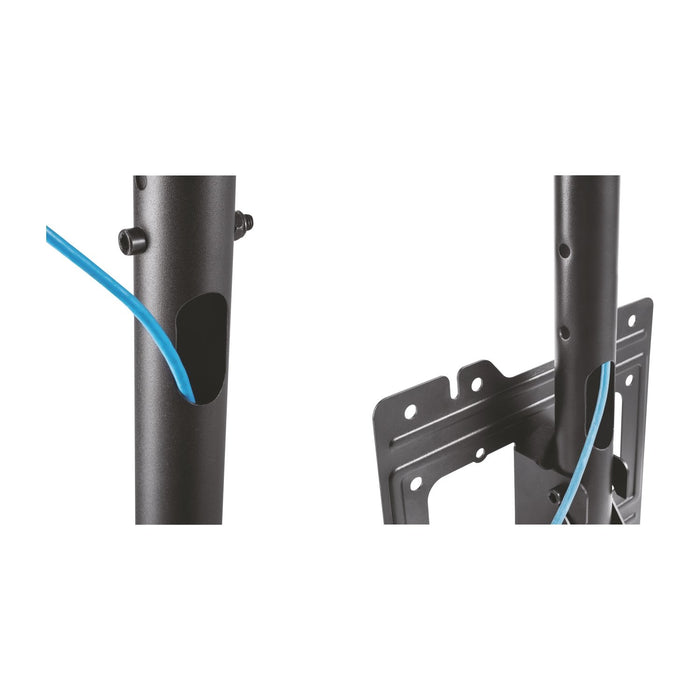 EAN 8436574703948 - AISENS CT43TSE-053 soporte para pantalla de señalización 109,2 cm (43") imagen 6