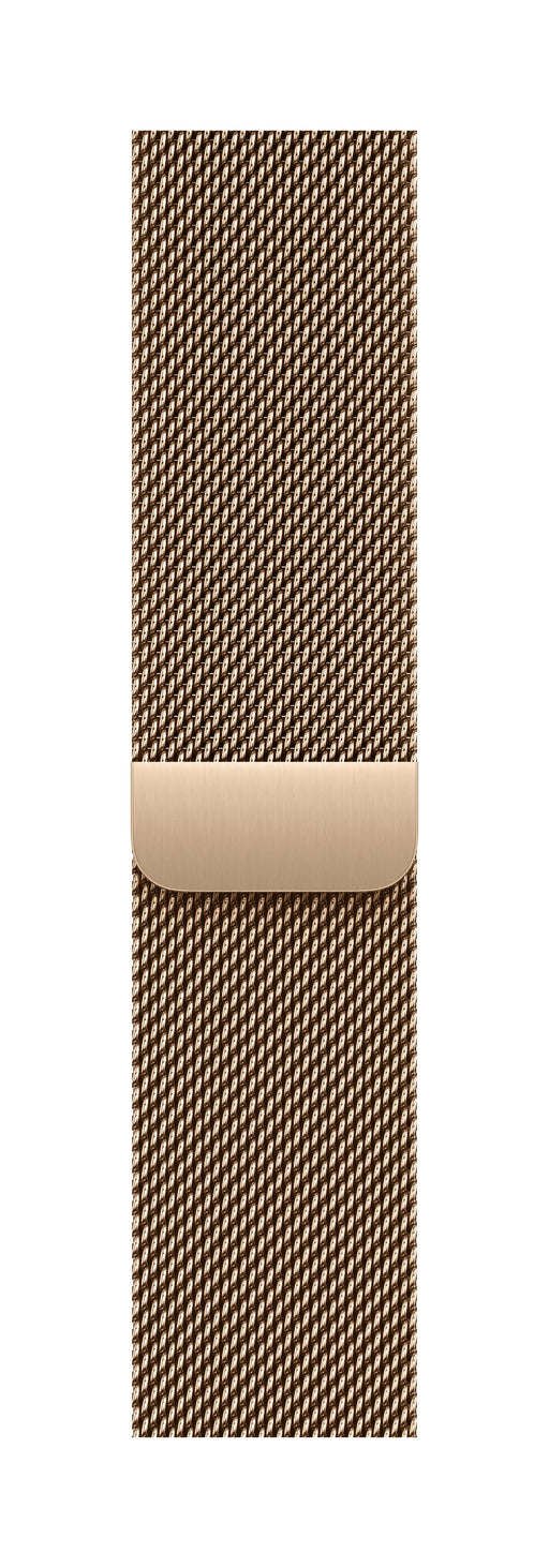 EAN 195950659597 - Apple MGHW4ZM/A Accesorios para dispositivos vestibles inteligentes Grupo de rock Oro Acero inoxidable imagen 1