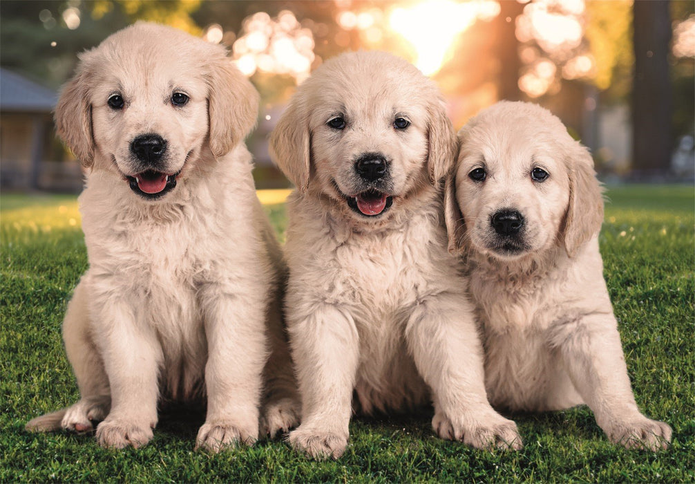 EAN 8005125248209 - Clementoni 24820 puzzle imagen 3