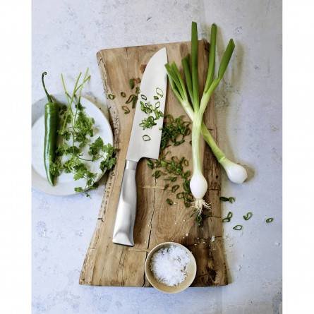 EAN 4000530676795 - WMF 1889586032 Acero inoxidable 1 pieza(s) Cuchillo de filete imagen 4