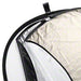 EAN 4250234576840 - Walimex 17684 reflector de estudio fotográfico Ovalado Negro, Oro, Plata, Transparente, Blanco imagen 1