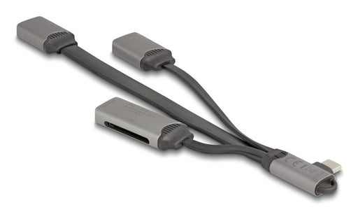 EAN 4043619643035 - DeLOCK 64303 hub de interfaz USB 3.2 Gen 1 (3.1 Gen 1) Type-C 5000 Mbit/s Gris imagen 1