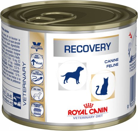 EAN 9003579307717 - Royal Canin Recovery Adulto 195 g imagen 1