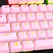 EAN 0196188737224 - HyperX Full key Set Keycaps - PBT (Pink) Tecla imagen 2
