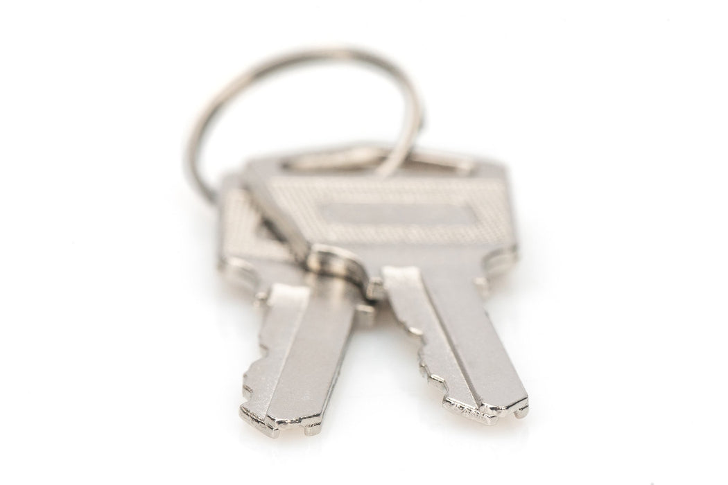 EAN 4016032487326 - Digitus DN-45000-KEY accesorio de bastidor Llave de cierre imagen 2