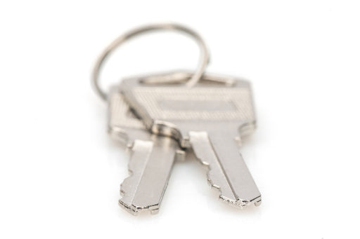 EAN 4016032487326 - Digitus DN-45000-KEY accesorio de bastidor Llave de cierre imagen 2