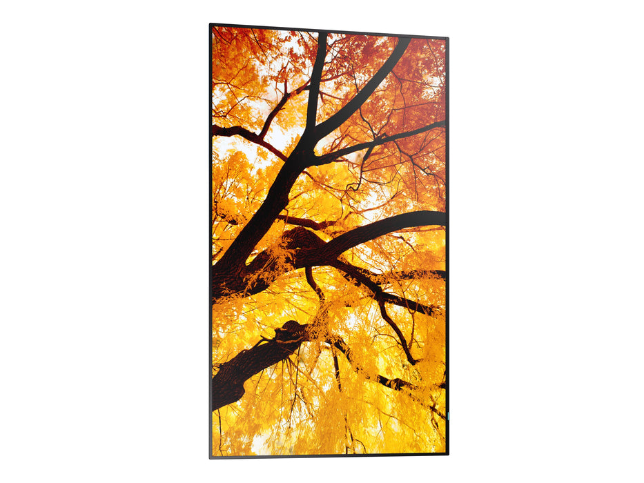 EAN 4550556176682 - Sharp MultiSync M322 Pantalla plana para señalización digital 81,3 cm (32") LCD 550 cd / m² Full HD Negro imagen 9