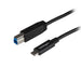 EAN 0065030860765 - StarTech.com USB31CB1M cable USB USB 3.2 Gen 2 (3.1 Gen 2) USB C USB B Negro imagen 1