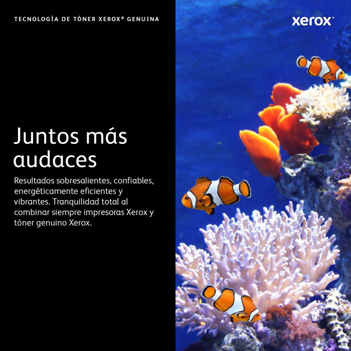 EAN 0095205866292 - Xerox 106R03934 cartucho de tóner 1 pieza(s) Original imagen 11