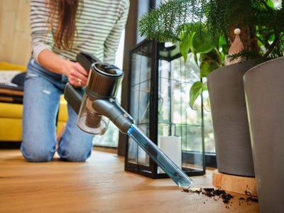 EAN 8590393366507 - Eta Lunar aspiradora de mano Azul, Verde Sin bolsa imagen 23