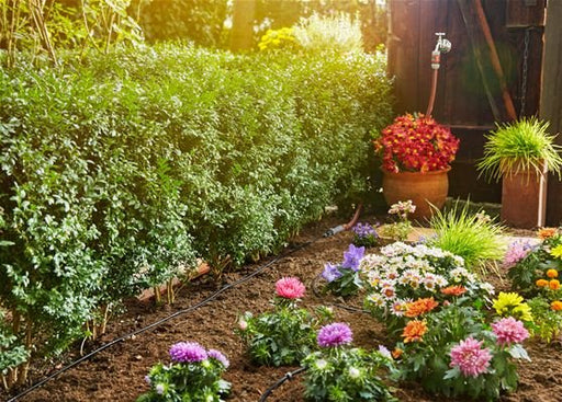 EAN 4078500018241 - Gardena Micro-Drip-System Starter Set randen S 13010-20 imagen 2