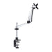 EAN 0065030902045 - StarTech.com 1MP1ACG-MONITOR-ARM soporte para monitor 76,2 cm (30") Negro, Plata imagen 2