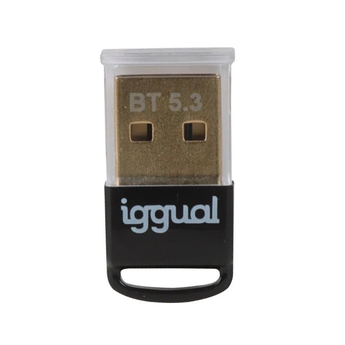 EAN 8435364319383 - iggual IGG319383 tarjeta y adaptador de interfaz Interno Bluetooth imagen 2