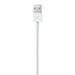 EAN 0885909707973 - Apple Lightning / USB 0,5 m Blanco imagen 3