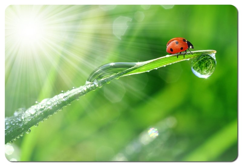 EAN 5901299901984 - Esperanza EA133 alfombrilla para ratón Multicolor imagen 3