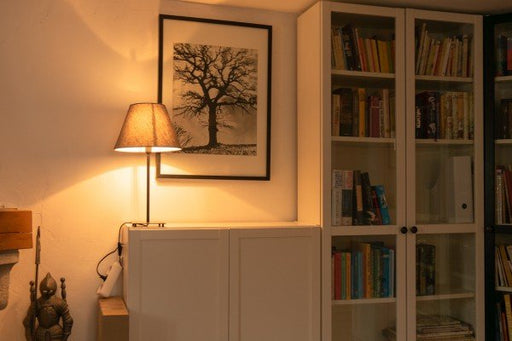 EAN 4260751132160 - Segula 55216 lámpara LED Blanco cálido 2200 K 3 W E14 F imagen 2