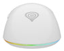 EAN 5901969443400 - GENESIS Zircon XIII ratón Juego Ambidextro RF Wireless + USB Type-C Óptico 26000 DPI imagen 8