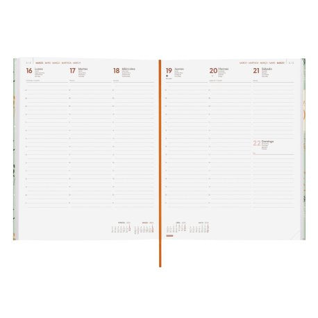 EAN 8422952405825 - Finocam 624042226 agenda Agenda diaria Verde imagen 2