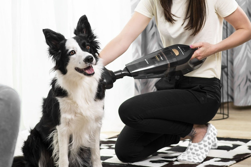 EAN 8595631012475 - Concept VP4353 aspiradora de mano Negro Sin bolsa imagen 17