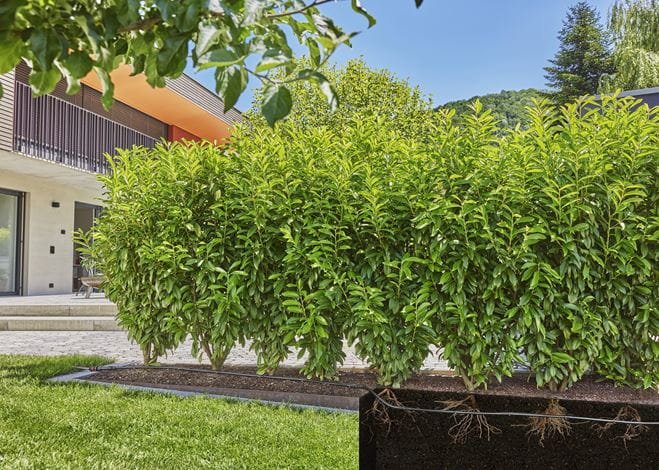 EAN 4066407002951 - Gardena 13504-20 manguera de jardín 50 m Bajo tierra Negro imagen 3