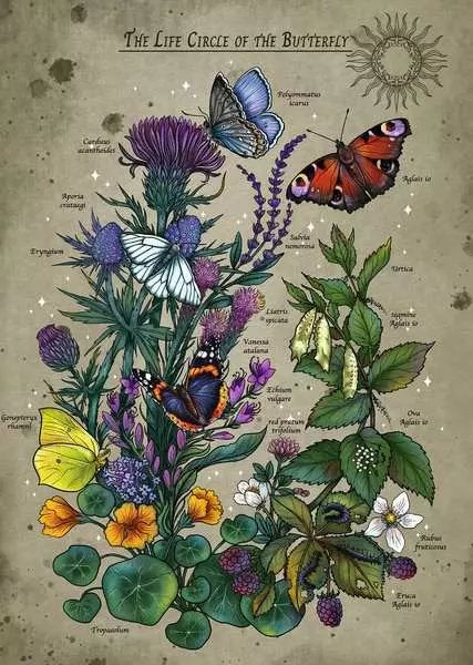 EAN 4005555014355 - Ravensburger 12.001.435 puzzle Puzzle rompecabezas 1000 pieza(s) Flora imagen 2