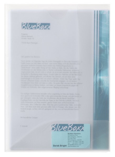 EAN 4005546212999 - Durable 253319 carpeta Transparente A4 imagen 1