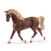 EAN 4055744023095 - schleich HORSE CLUB 42438 set de juguetes imagen 4
