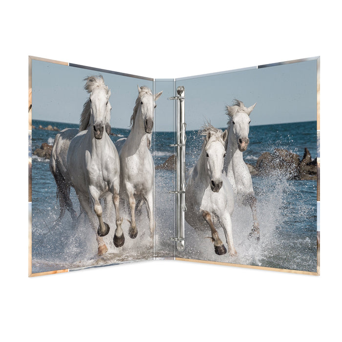 EAN 4008705193603 - HERMA 19360 carpeta de cartón A4 Multicolor imagen 3