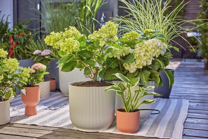 EAN 4066407002982 - Gardena 13400-20 sistema de riego por goteo imagen 3