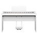 EAN 4957812679534 - Yamaha P-225WH piano digital 88 llaves Blanco imagen 8