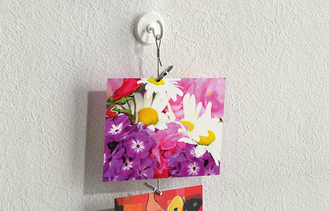 EAN 4048962325447 - Fischer 545950 gancho para almacenamiento Interior Gancho universal Blanco 1 pieza(s) imagen 5