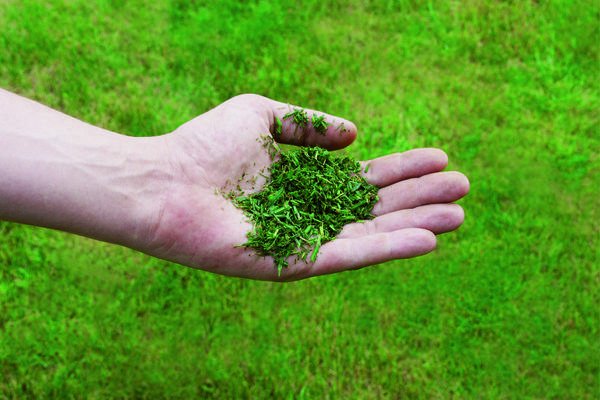 EAN 4006825648720 - Einhell GE-CM 36/43 Li M-Solo Cortacésped manual Batería Negro, Rojo imagen 9