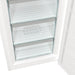 EAN 3838782643545 - Gorenje FN619EAW6 Congelador vertical Independiente 280 L E Blanco imagen 16