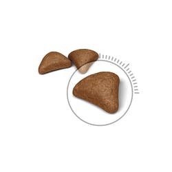 EAN 3182550721400 - Royal Canin Hairball Care alimento seco para gatos 2 kg Adulto imagen 2